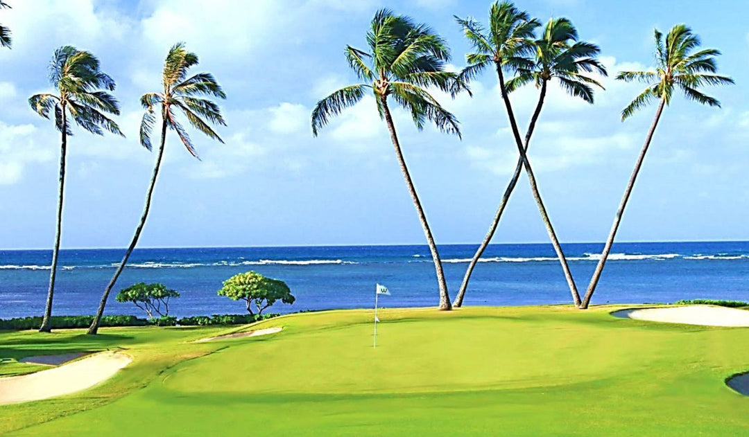 Preview & Picks: Sony Open - Plus: Season Long One & Done, Bryson Weighs In, and More.