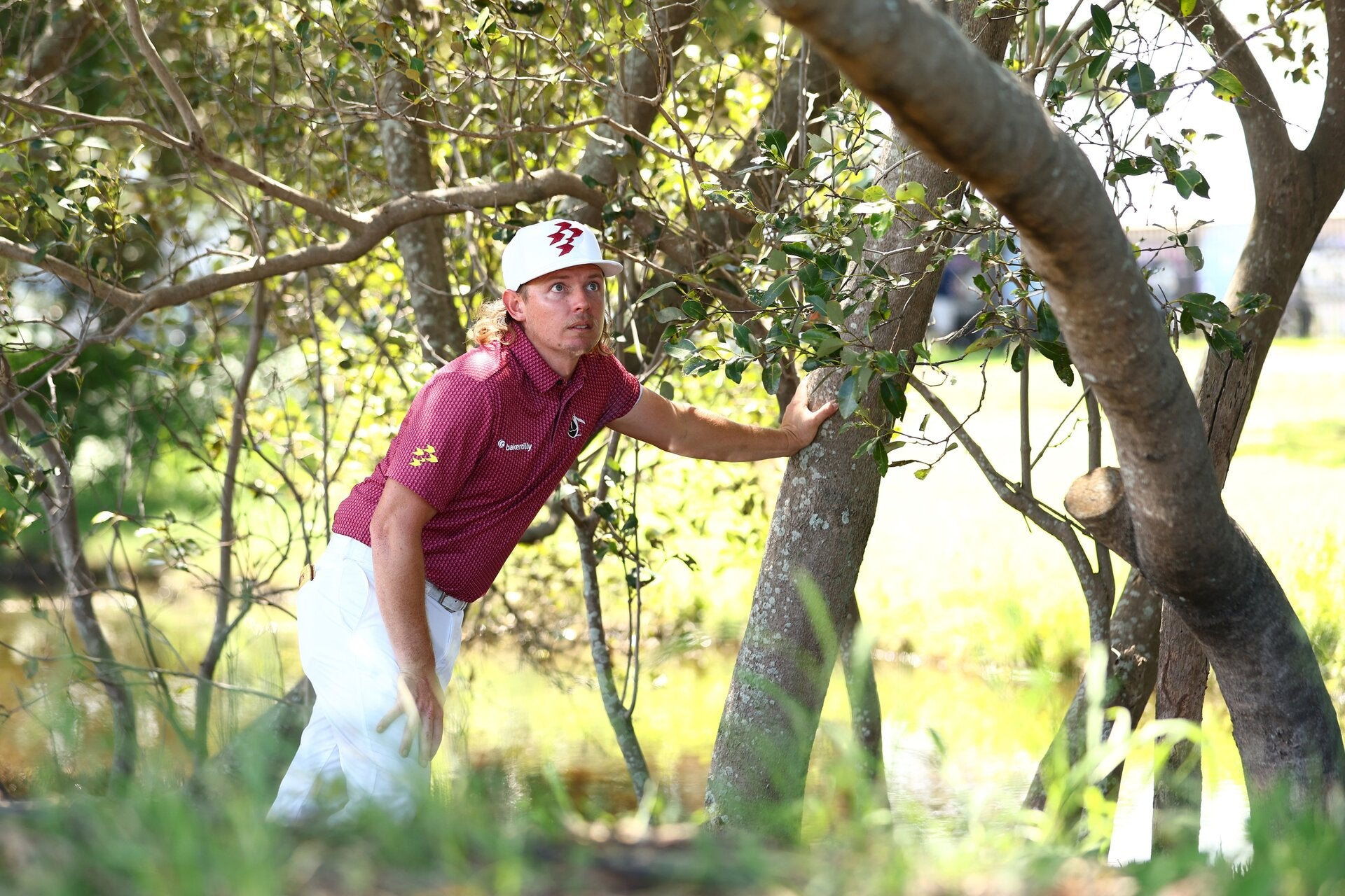 Quick Update: Hero World Challenge & Australian Open - Plus: Banana Peel Incident, Dog Who Can Putt, and More.