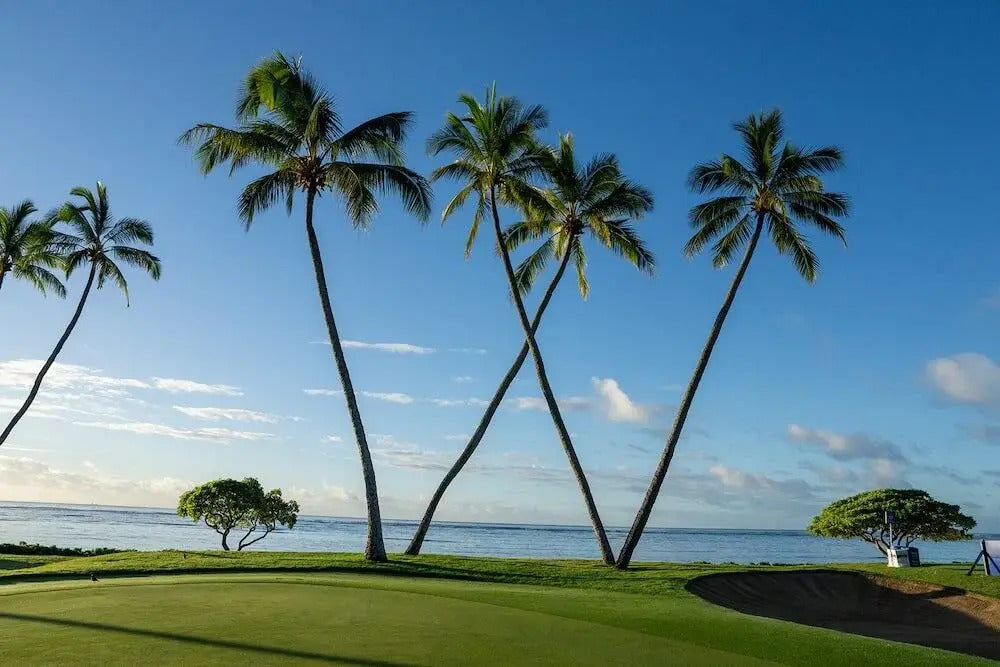 ⛳️ Preview & Picks: The Sony Open - Plus: Tiger vs. Grant Horvat, Notes on TGL Debut, and More.