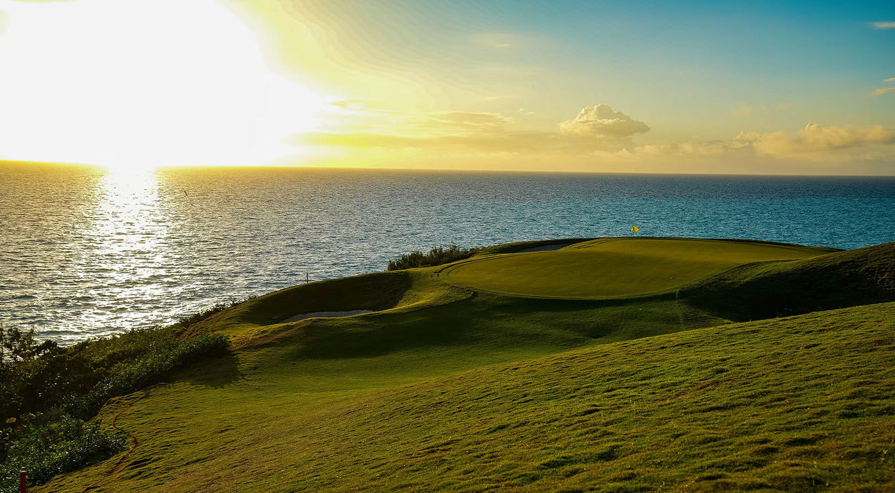 ⛳️ Butterfield Bets  - Plus: Tiger Woods' Ankle, Costco Driver, and more.